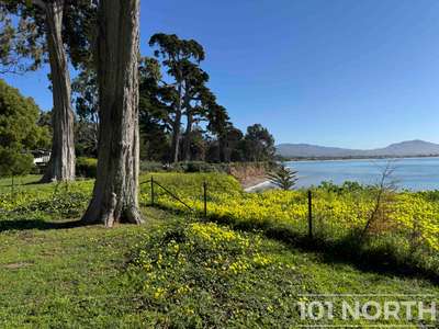 Traditional 16-86.jpg