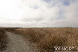 Recreational 17-9.jpg