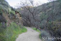 Recreational 23-19.jpg