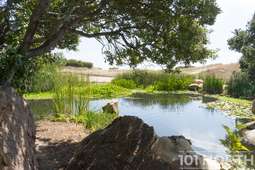 Architectural 10-154.jpg