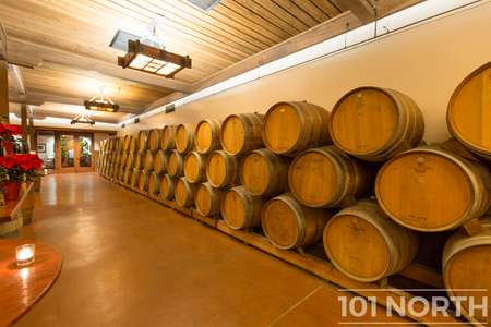 Winery 13-46.jpg
