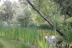 Equestrian 02-29.jpg