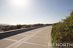 Beach 20 (101 of 38).jpg