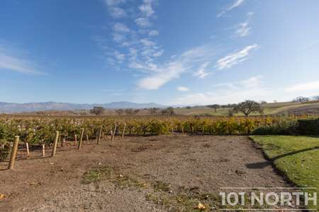 Winery 13-11.jpg