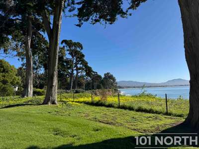 Traditional 16-84.jpg