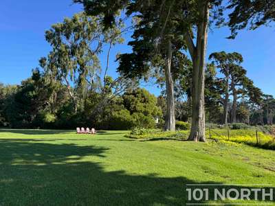 Traditional 16-83.jpg