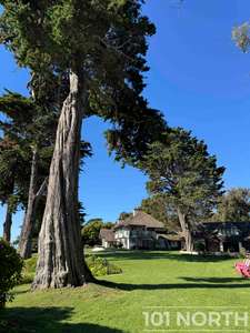 Traditional 16-92.jpg