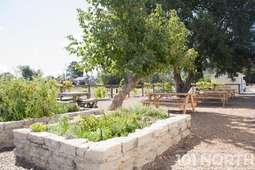 Restaurant 01-11.jpg