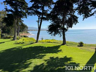 Traditional 16-121.jpg