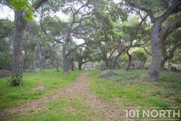 Recreational 09-3.jpg