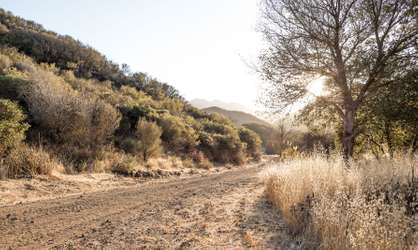 Ranch 12_1 COVER.jpg