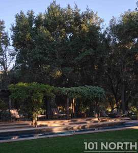 Traditional 02-25.jpg