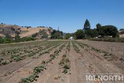 Ranch-Farm 02-30.jpg