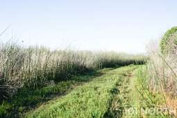 Ranch Farm 38 (184 of 222).jpg