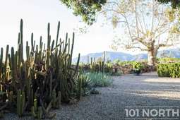 Mid Century 01-15.jpg