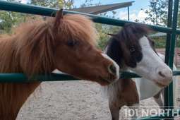 Equestrian 02-50.jpg