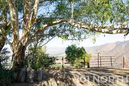 Ranch Farm 18-105.jpg