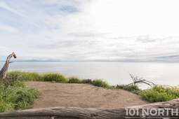 Recreational 19-90.jpg