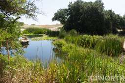 Architectural 10-152.jpg