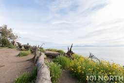 Recreational 19-89.jpg