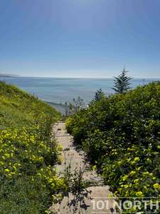 Traditional 16-88.jpg