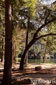 Pond 03-69.jpg