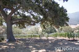 Ranch-Farm 02-36.jpg