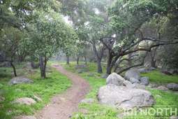 Recreational 09-5.jpg