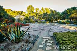 Mediterranean 12-11.jpg