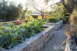 Mid Century 01-40.jpg