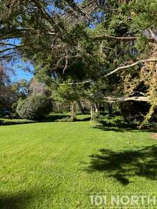 Traditional 16-100.jpg