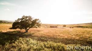 Ranch-Farm 10-132.jpg