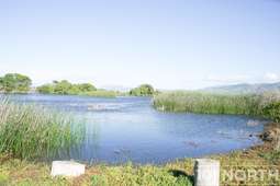 Ranch Farm 38 (134 of 222).jpg