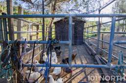 Ranch-Farm 25-15.jpg