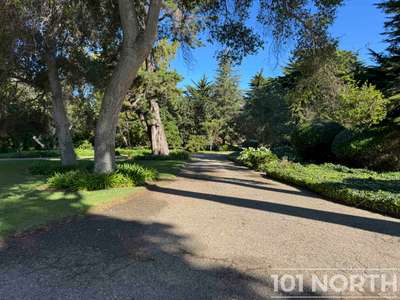 Traditional 16-1.jpg