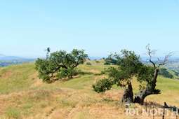 Ranch Farm 01-84.jpg