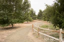 Recreational 01-17.jpg