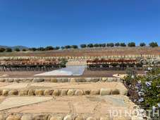 Mediterranean 03-11.jpg