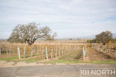 Winery 13-26.jpg