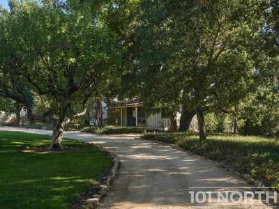 Traditional 02-42.jpg