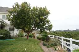 Americana 09-135.jpg