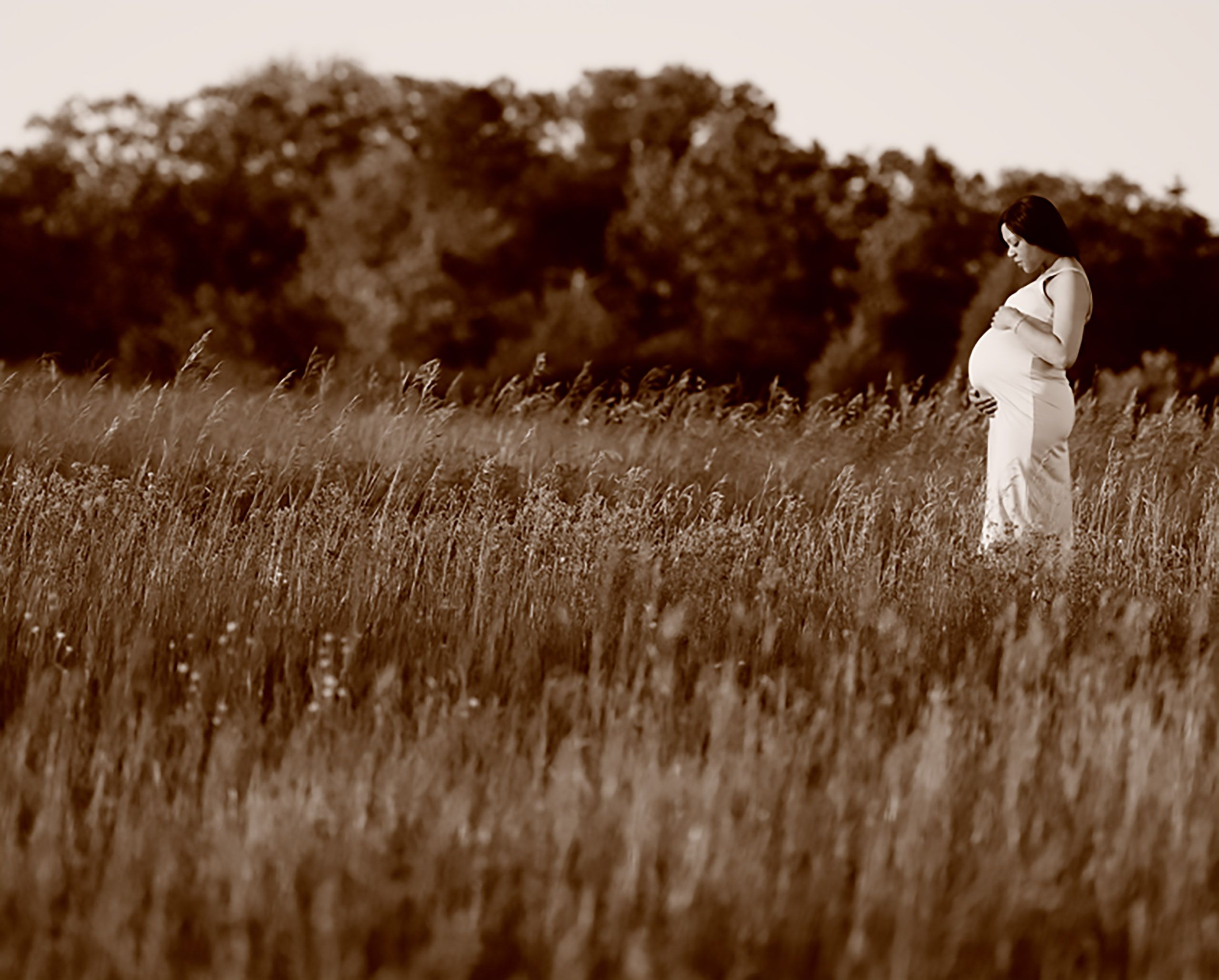 pregnant if field.jpg