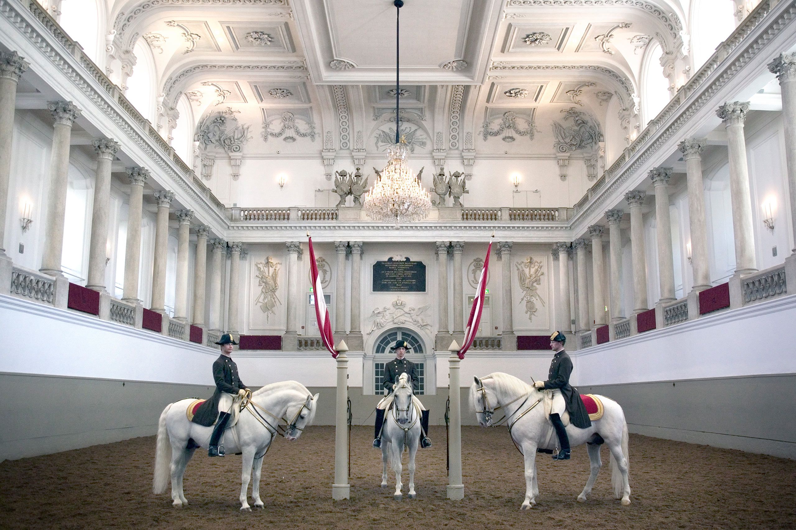 Lipizzaner