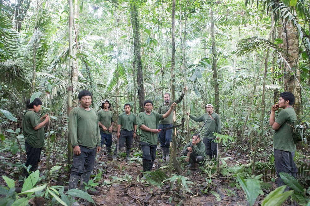 How to Save the Amazon Bruno Pereira