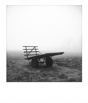 Visual notes from the North York Moors, UK. Solitude to Birdsong.