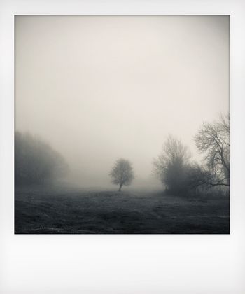 Visual notes from the North York Moors, UK. Solitude to Birdsong.