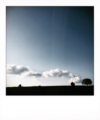Solitude to Birdsong Solitude to Birdsong