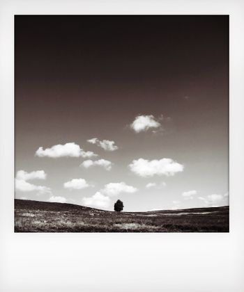 Visual note from the North York Moors, UK. Solitude to Birdsong.