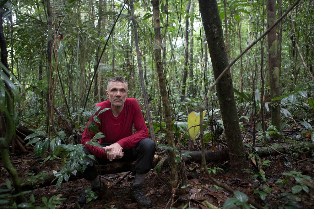 Dom Phillips murder How to Save the Amazon