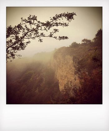 Visual notes from the North York Moors, UK. Solitude to Birdsong.